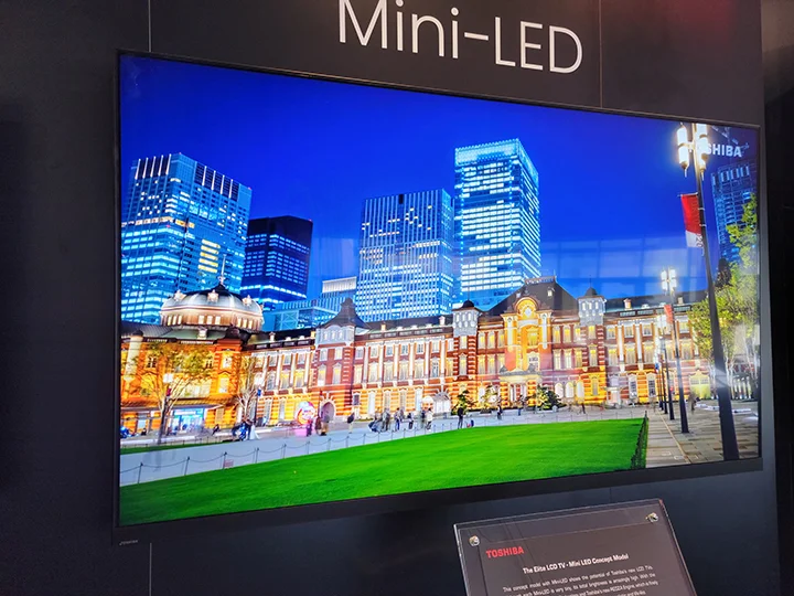 Consumer OLED and LCD Display Modules application